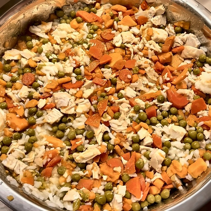 Angelina's real batch of Chicken & Rice for Rebel, in the mixing bowl