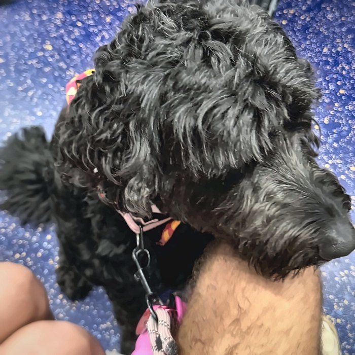 Rebel on the subway